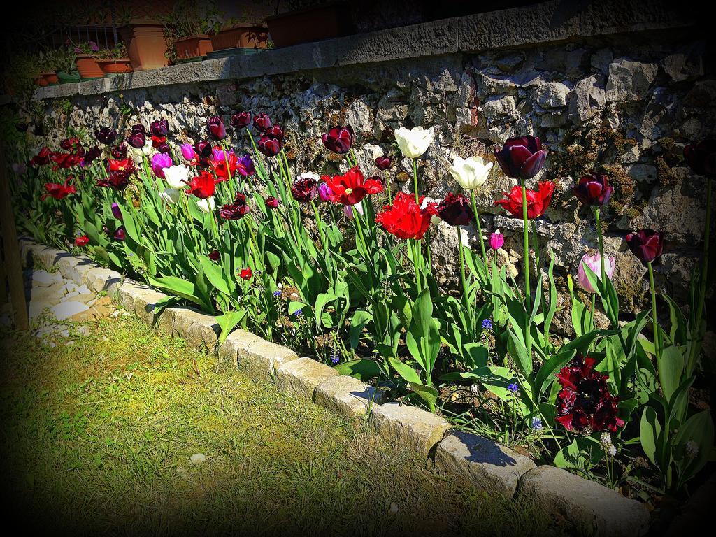 Agriturismo Borgovecchio Romans d'Isonzo Zewnętrze zdjęcie